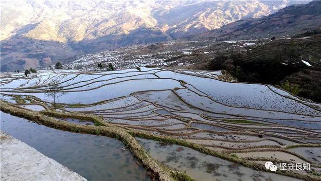 与饮水：各自的魅力AG真人国际饮茶